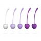 Kegel Ball Set 5 pcs. silicone White to Purple 30-110 grams