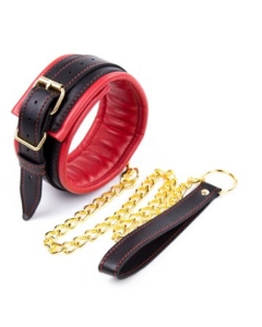 Collar with gold chain Black/red