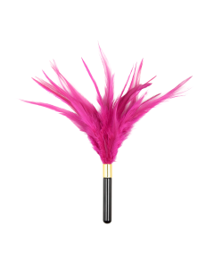 Feather Tickler 25cm