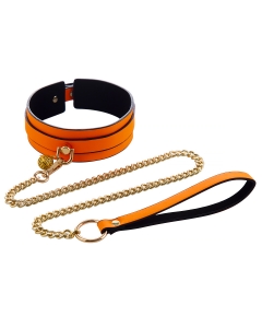 Glow Collar + Leash Orange