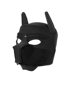 Dog Hood Black