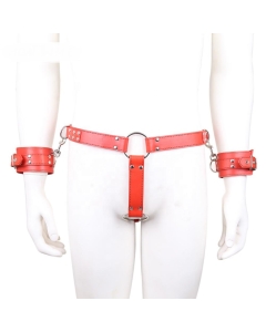 Sexy panty with wrist restraints