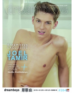 Dreamboys 264