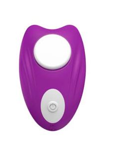 Butterfly Panty Vibrator with Remote Purple