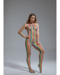 Bodystocking  Rainbow