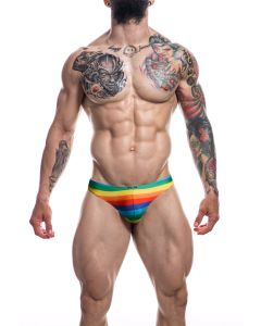 Low Rise Bikini Brief - XL - Rainbow